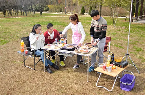 A Multidimensional Hub of Modern Life: Health, Social, and Aesthetic Values of Recliner Chairs